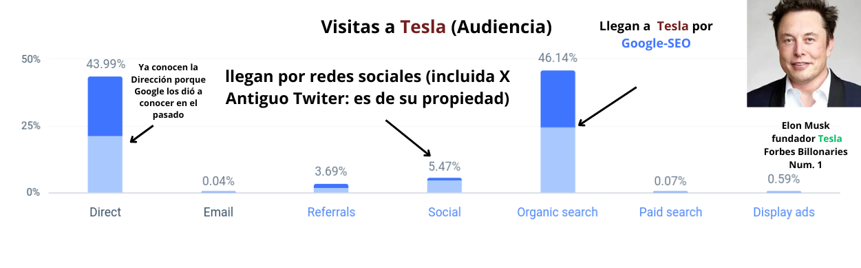 grafico de barras de la audiencia de tesla por mes que muestra como el SEO de Google es importante