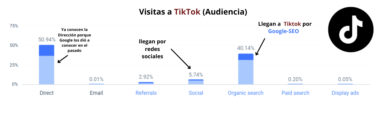 grafico de barras de la audiencia de tiktok por mes que muestra como el SEO de Google es importante